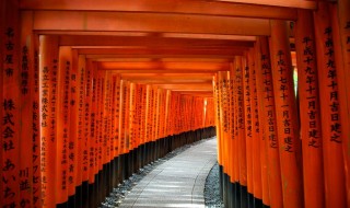 Torii_gates—Fushimi_Inari_Shrine